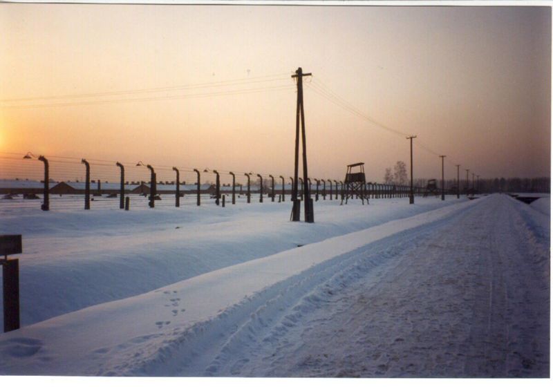 Birkenau sunset